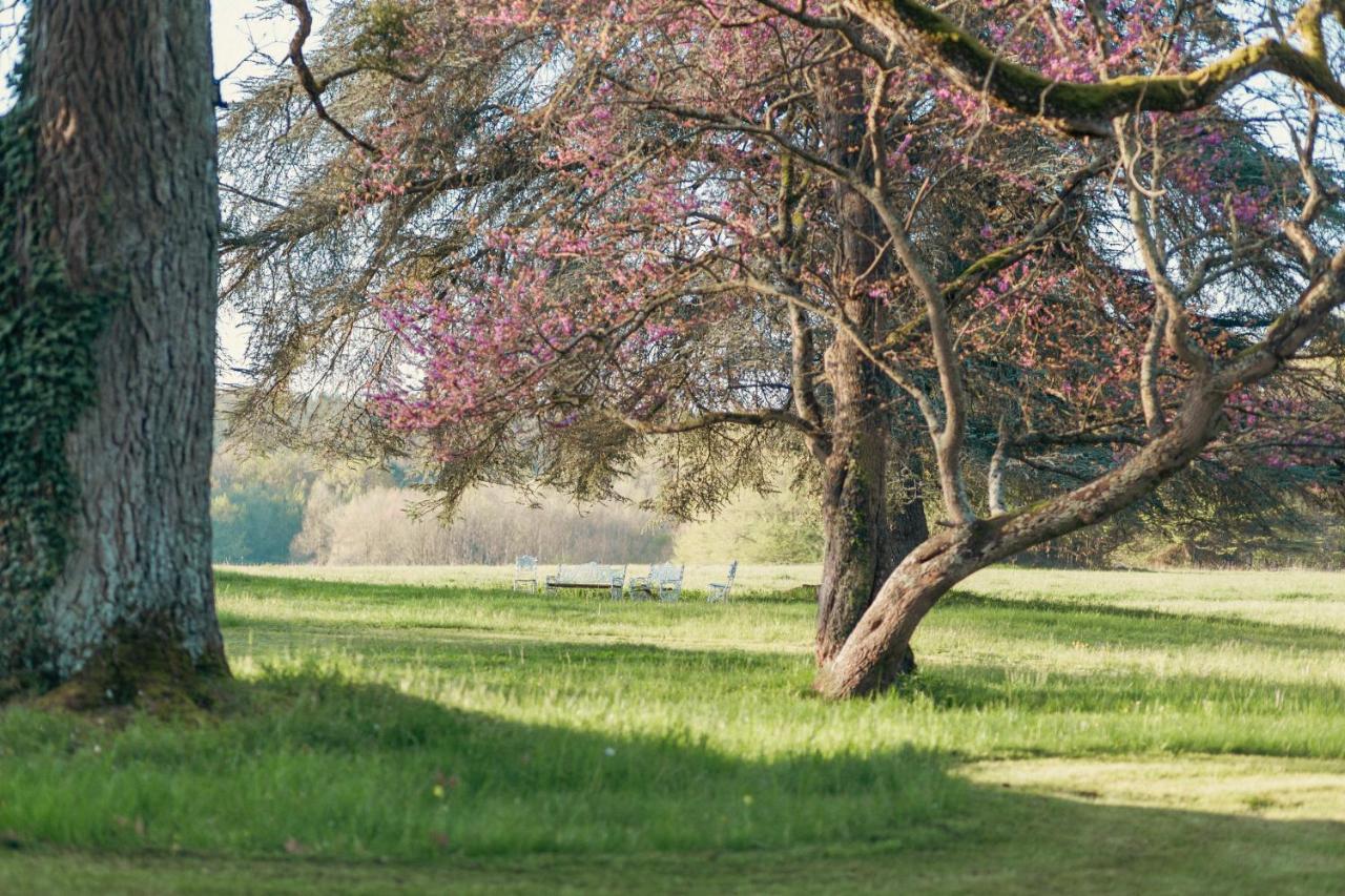 Château De Razay Cere-la-Ronde Ngoại thất bức ảnh